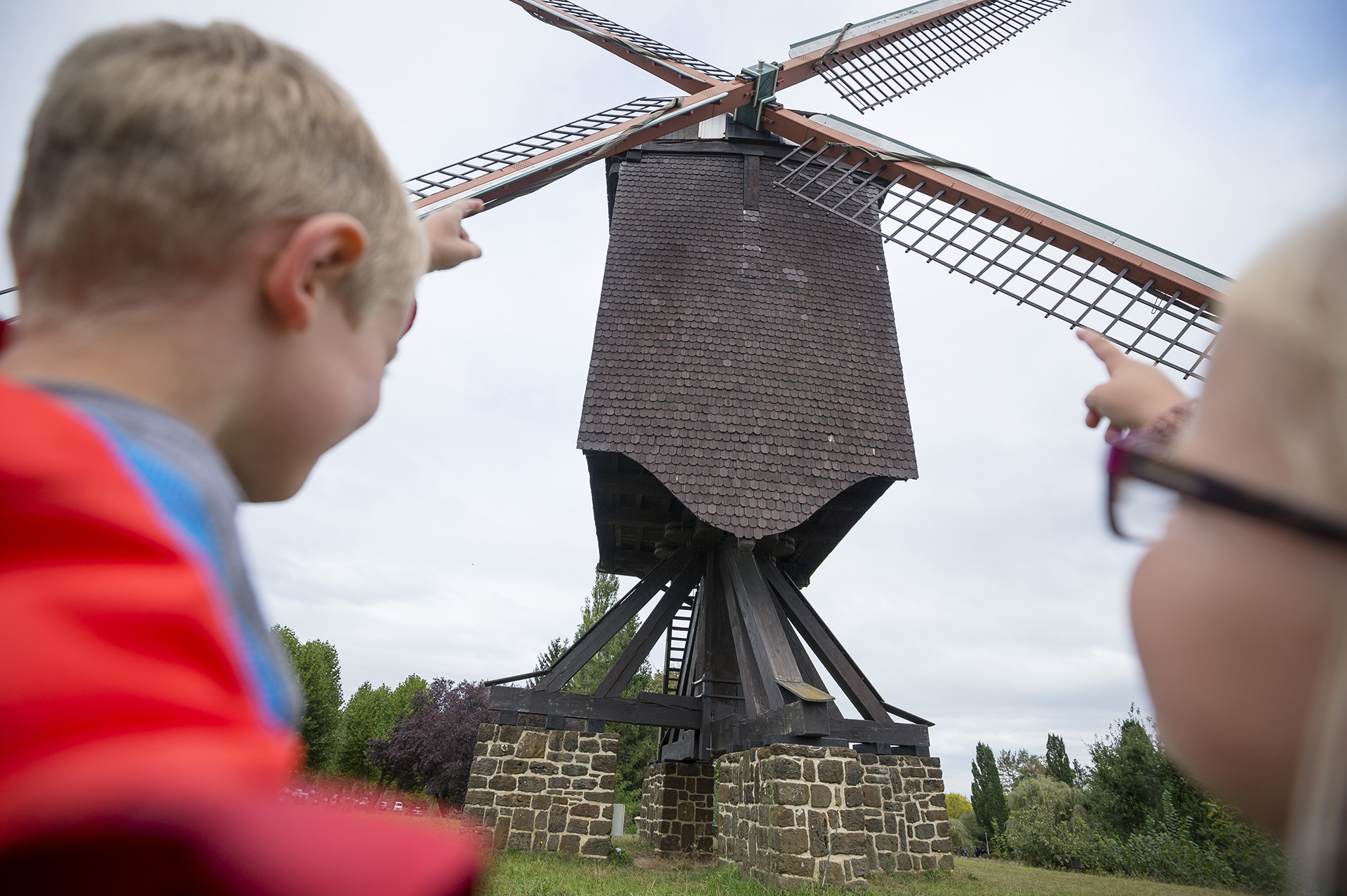 Lindenmolen in het provinciedomein Halve Maan in Diest