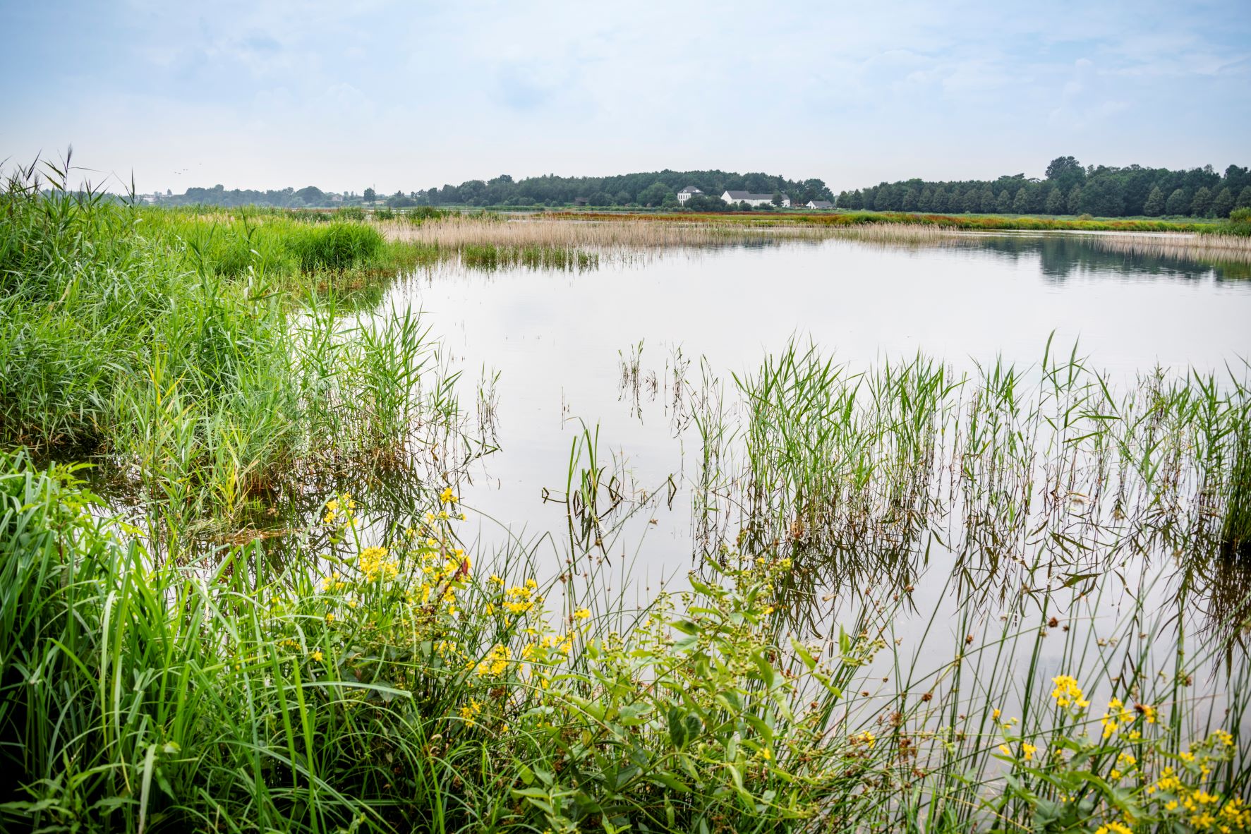 Vinnemeer in Provinciedomein Het Vinne Zoutleeuw Vlaams-Brabant