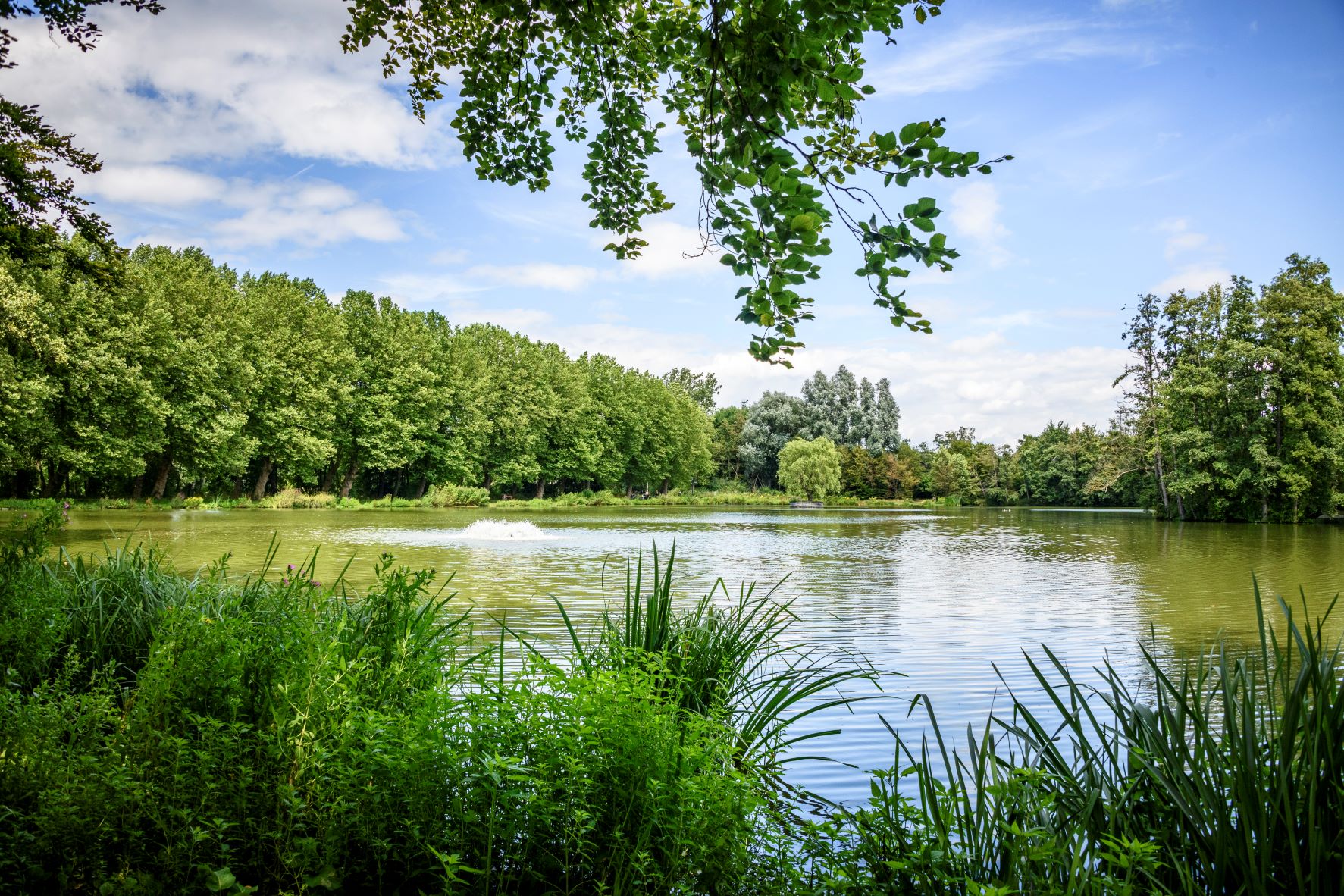 zicht op vijver in Provinciedomein Kessel-Lo