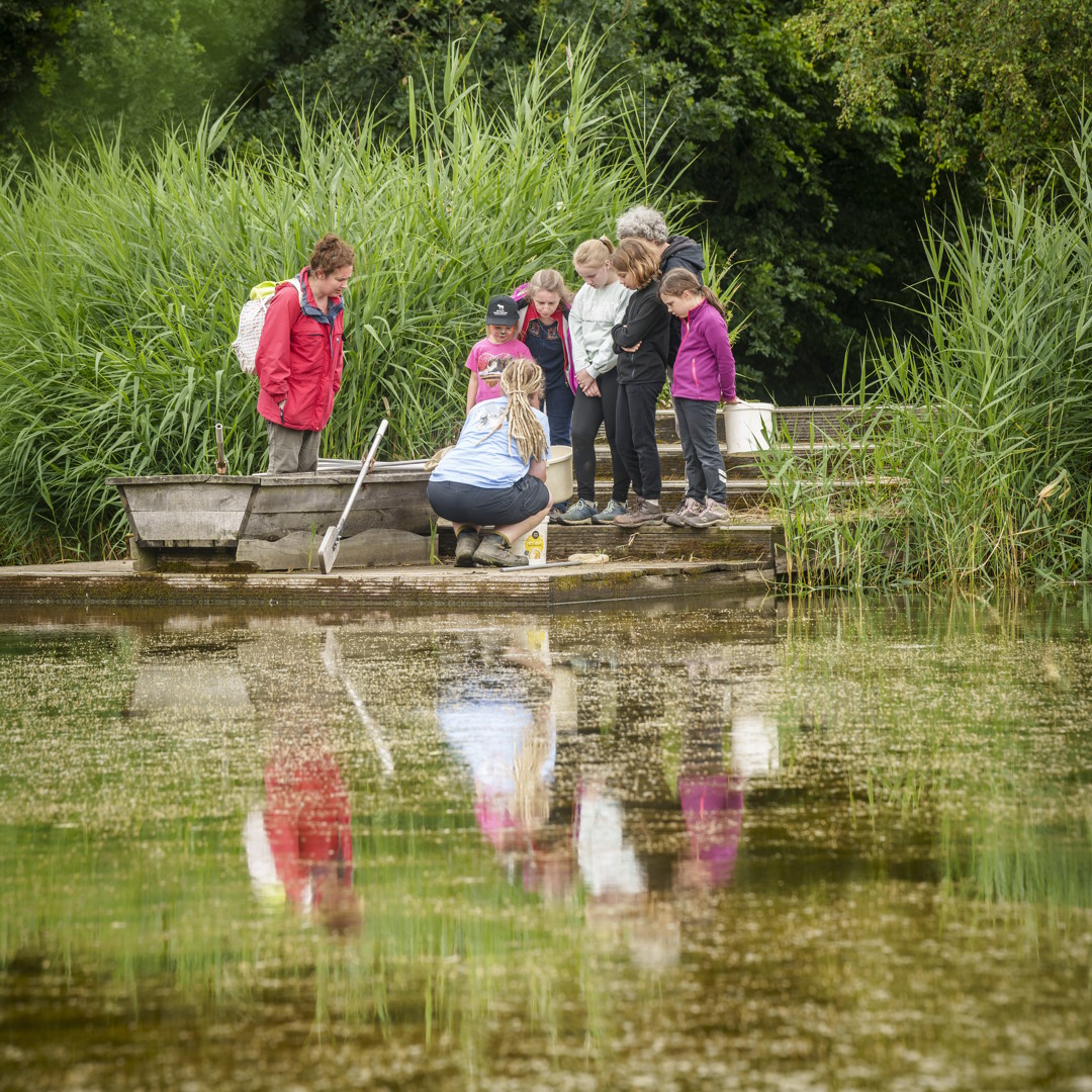 Wateronderzoek met schepnet in Het Vinne Zoutleeuw