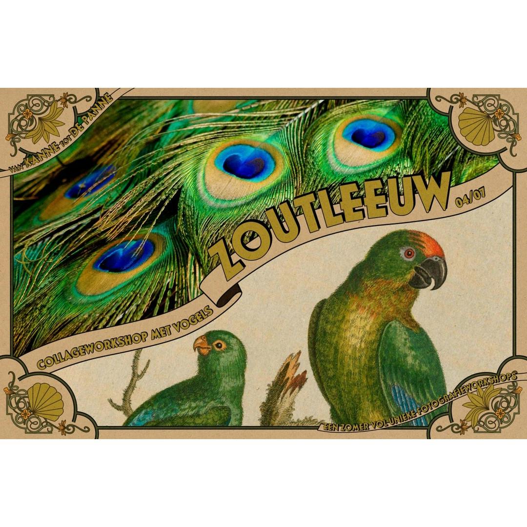 Collageworkshop rond vogels Collageworkshop rond vogels