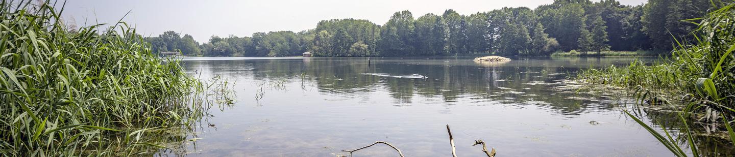 Roeivijver zonder bootjes in Provinciedomein Kessel-Lo